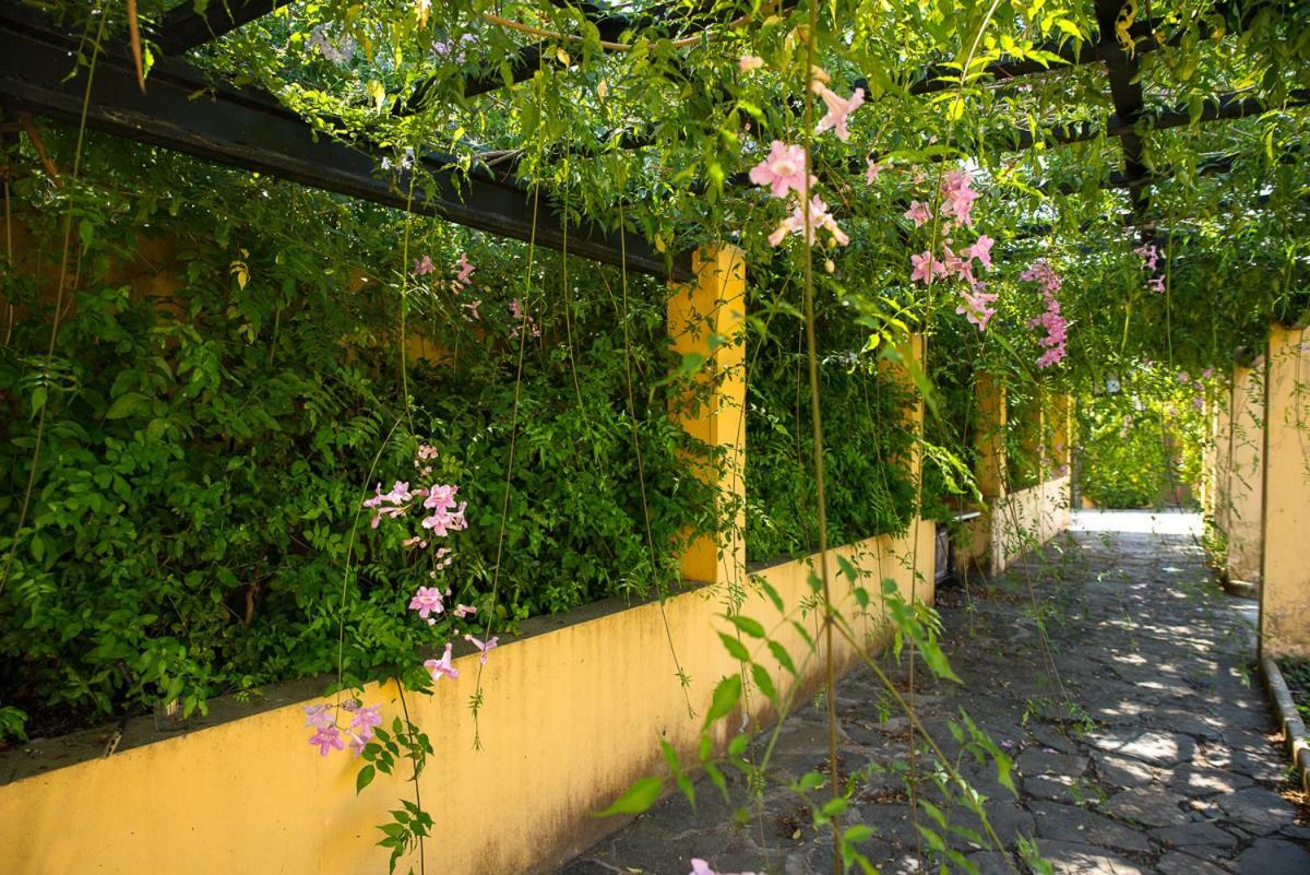Bellasombra Suites Las Palmas Exterior photo